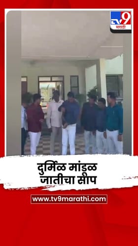 हिंगोलीत आढळला दुर्मिळ मांडूळ जातीचा साप