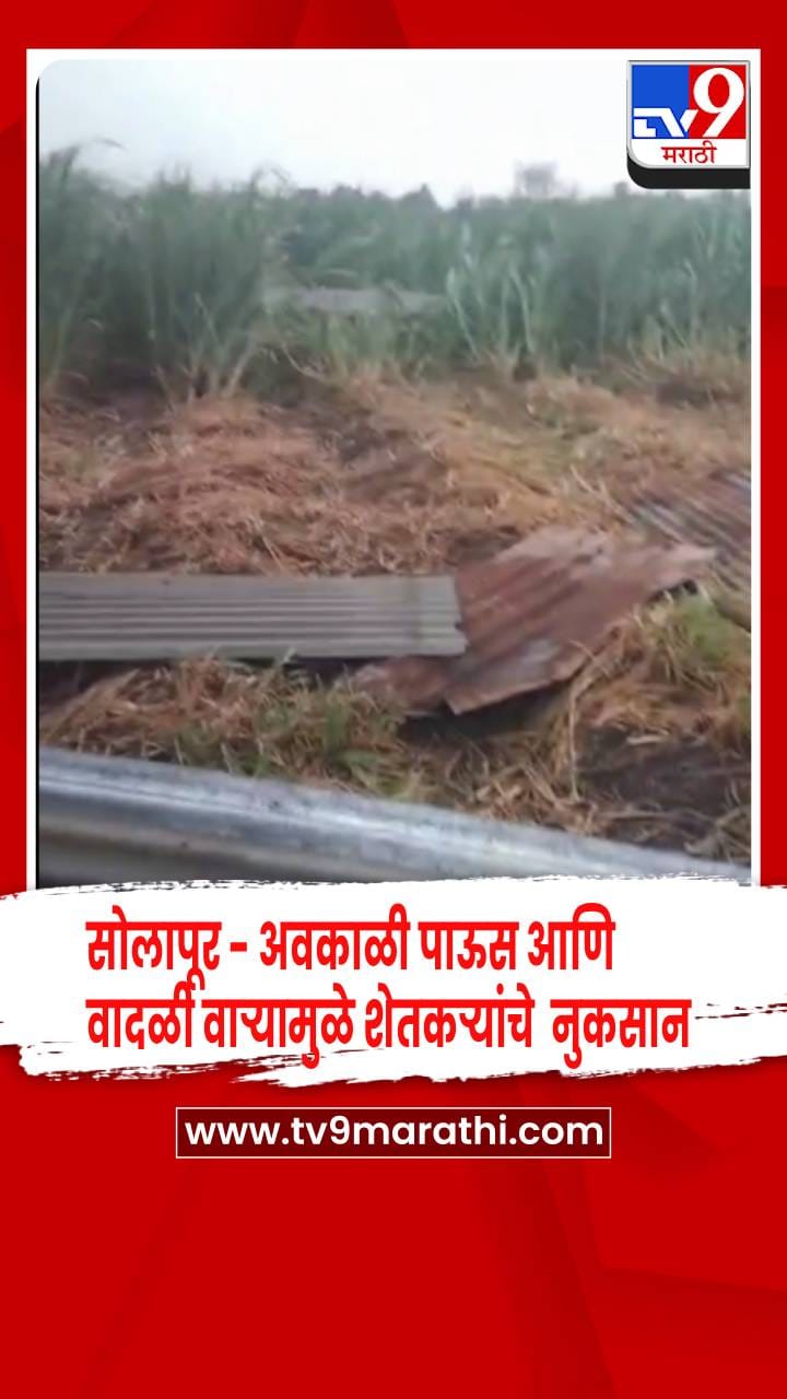 सोलापूर जिल्ह्यात अवकाळी पाऊस आणि वादळी वाऱ्यामुळे  गोठे कोसळले,  शेतकऱ्यांचे मोठे नुकसान
