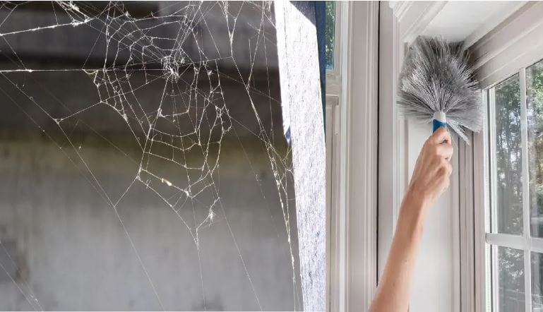 घर जेवढं साफ असेल, तेवढं त्या घरात राहायला छान वाटतं. किचन आणि घरात साफसफाई ठेवली तर वेगवेगळे आजार होत नाहीत. कारण घराची नियमित सफाई न केल्यास कोपऱ्यांमध्ये, खिड्यांमध्ये तसेच अडगळीच्या ठिकाणी किडे, मच्छर, कोळ्याचे जाळे तयार व्हायला सुरुवात होते. 