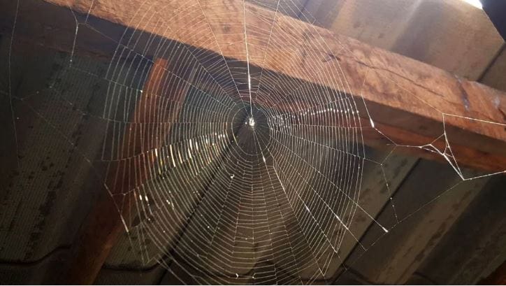 (टीप- या लेखातील सर्व माहिती ही प्राथमिक स्वरुपाची आहे. सविस्तर माहितीसाठी किंवा कोणताही प्रयोग करण्याआधी त्या-त्या क्षेत्रातील तज्ज्ञांशी संपर्क साधावा) 