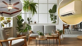 घरात फक्त लावा ही दोन छोटुशी झाडं, फॅन, एसीचीही पडणार नाही गरज!