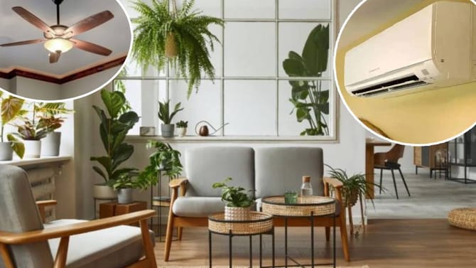 घरात फक्त लावा ही दोन छोटुशी झाडं, फॅन, एसीचीही पडणार नाही गरज!