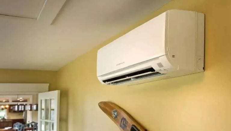 दरम्यान, या निर्सगात अशी काही झाडे आहेत, ज्यामुळे वातावरण थंड राहते. ही झाडे आपल्या आजूबाजूचे वातावरण थंड ठेवतात. त्यामुळे ही झाडे तुमच्या घरात लावल्यास उन्हाळ्यात तुमचे घर थंड राहण्यास मदत होते. 