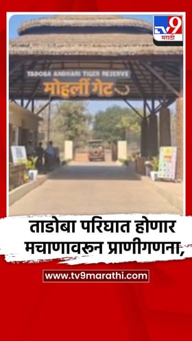 चंद्रपूर जिल्ह्यातील ताडोबा परिघात होणार मचाणावरून प्राणीगणना
