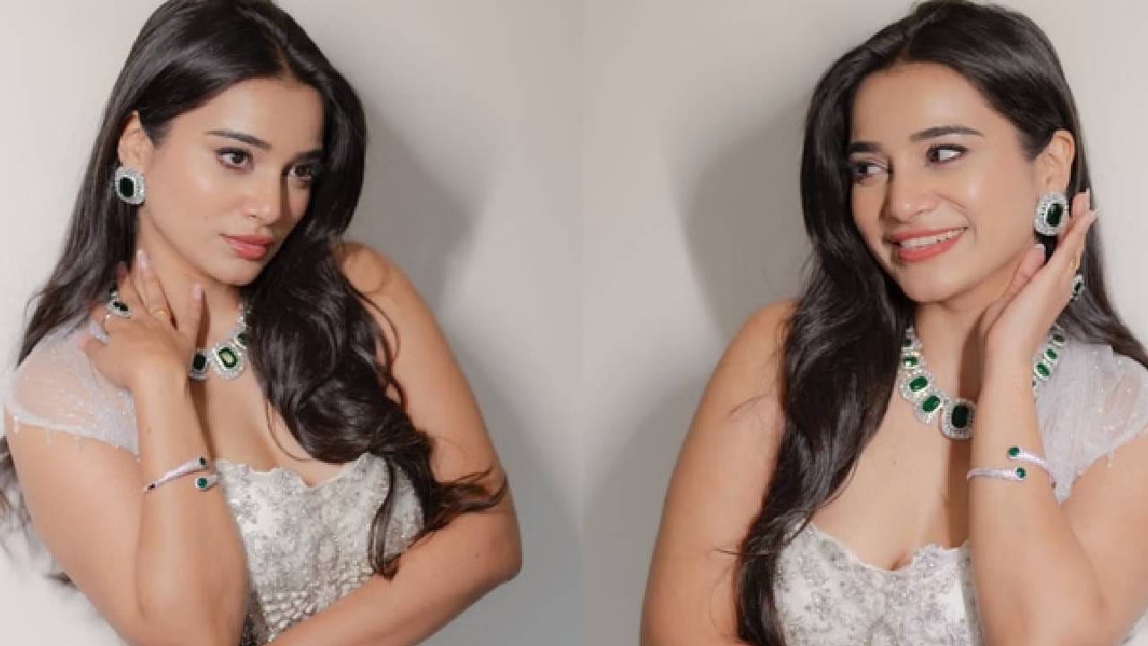 अभिनयाच्या क्षेत्रात येण्यापूर्वी, तन्वीने सौंदर्य स्पर्धांमध्येही 'मिस रत्नागिरी 2018' आणि 'मिस गोवा 2020' सारखे किताब जिंकून नाव कमावले होतं. तिच्याकडे बी.टेकची डिग्री असून ती डिजिटल कंटेंट क्रिएटर म्हणूनही सक्रिय आहे.