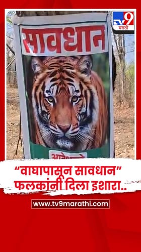 गोंदिया -  “वाघापासून सावधान”..  मोहाची फुल वेचताना धोका ! फलकांनी दिला इशारा