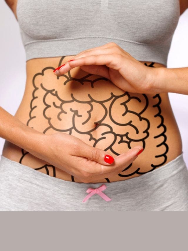 उन्हाळ्यात पचन यंत्रणा चांगली राखण्यासाठी हे उपाय आजमावा