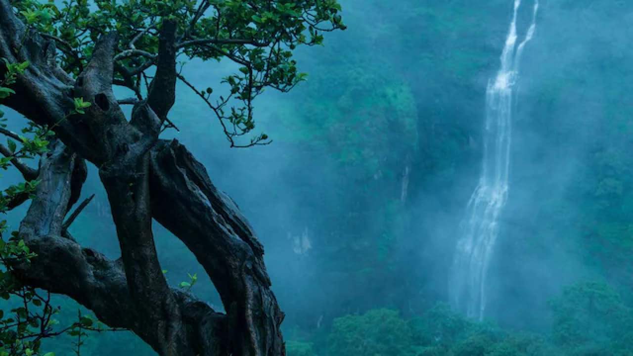डोंबिवलीपासून अवघ्या 73 किलोमीटर अंतरावर असलेले खंडाळा हे विकेंड ट्रिपसाठी परफेक्ट डेस्टिनेशन आहे. कमी वेळात सहज पोहोचता येत असल्यामुळे अनेक पर्यटक येथे येण्याचा प्लान करतात.
