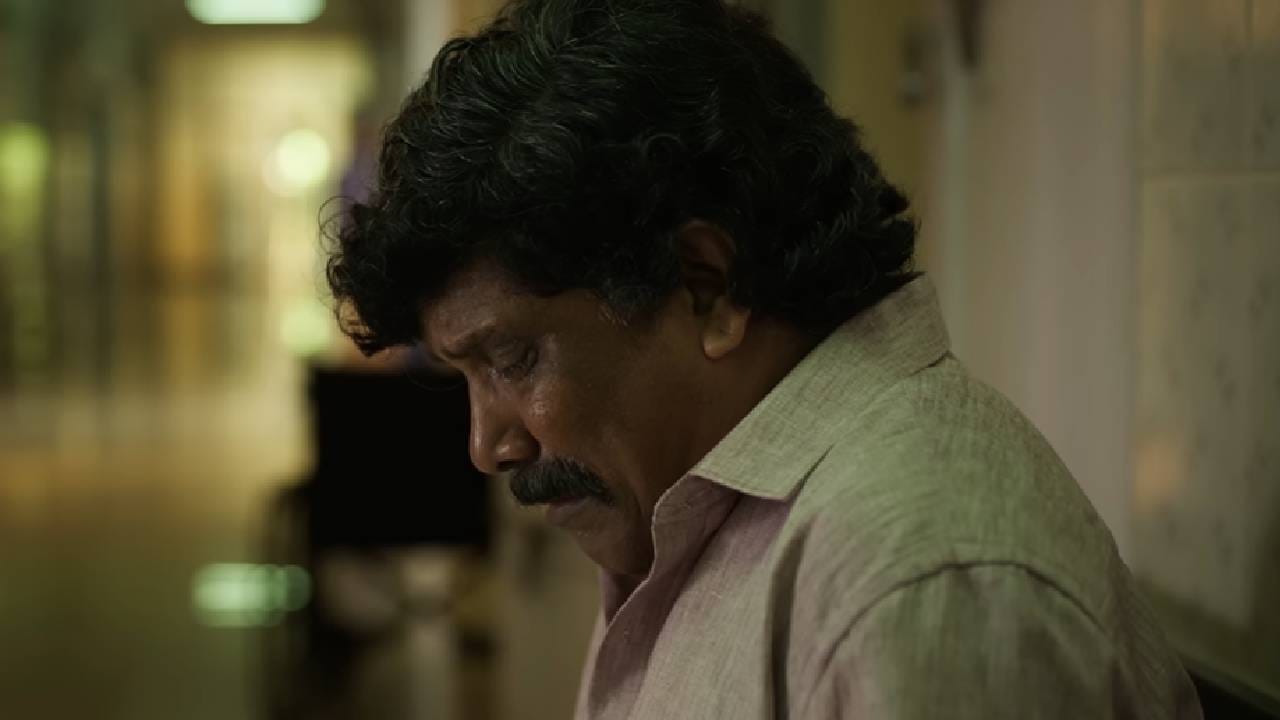 या चित्रपटाला फक्त भारतातच नाही तर परदेशातही चांगला प्रतिसाद मिळतोय. गेल्या 20 दिवसांत भारतातील ग्रॉस कलेक्शनचा आकडा 128.47 कोटींवर पोहोचला आहे. तर परदेशात या चित्रपटाने आतापर्यंत 83.55 कोटी रुपये कमावले आहेत. त्यामुळे 'वाझ 2'चं वर्ल्डवाइड ग्रॉस कलेक्शन 212.02 कोटी रुपयांवर पोहोचलं आहे.   
