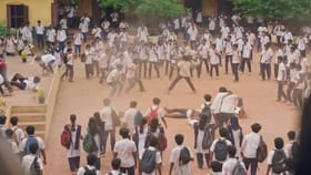 10 कोटी बजेट, कमाई 200 कोटी पार; कथा इतकी दमदार की तुम्हीही म्हणाल वाह.