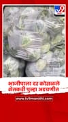भाजीपाला दर कोसळले धुळे जिल्ह्यातील शिरपूर येथील शेतकरी पुन्हा अडचणीत.