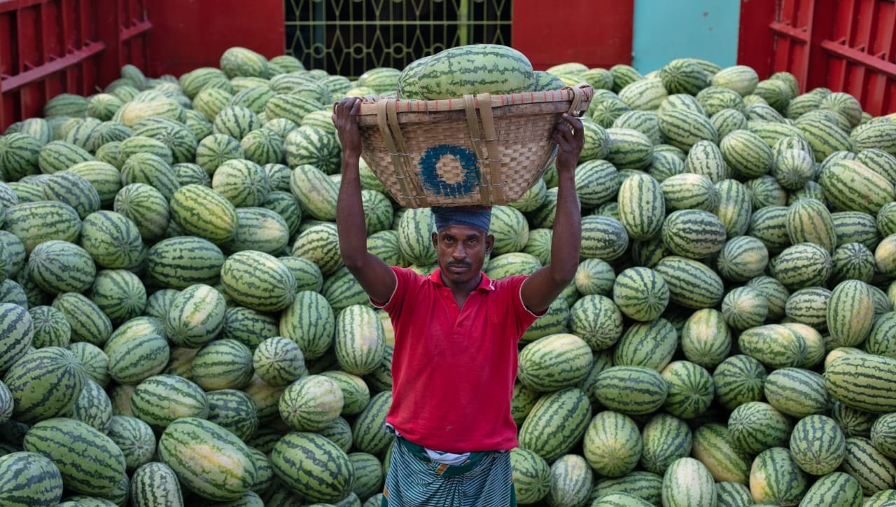 कलिंगडात पोटॅशियमचे प्रमाण जास्त असते. किडनीचा त्रास असलेल्या रुग्णांना अतिरिक्त पोटॅशियम शरीराबाहेर टाकण्यास अडचण येते, जे हृदयासाठी घातक ठरू शकते. काही लोकांना कलिंगडामुळे ॲलर्जी किंवा घशात खवखव होऊ शकते. दम्याचा त्रास असलेल्यांनी थंड कलिंगड खाऊ नये.