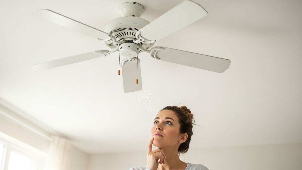 त्यामुळे, यंदाच्या उन्हाळ्यात फक्त पंख्याच्या वेगाकडेच नाही, तर त्याच्या स्वच्छतेकडेही लक्ष द्या; जेणेकरून तुम्हाला मिळेल शुद्ध आणि भरपूर गार हवा मिळेल.