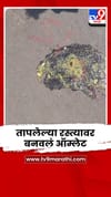येवल्यात उष्णतेचा कहर, चक्क डांबरी रस्त्यावर बनवलं ऑम्लेट.
