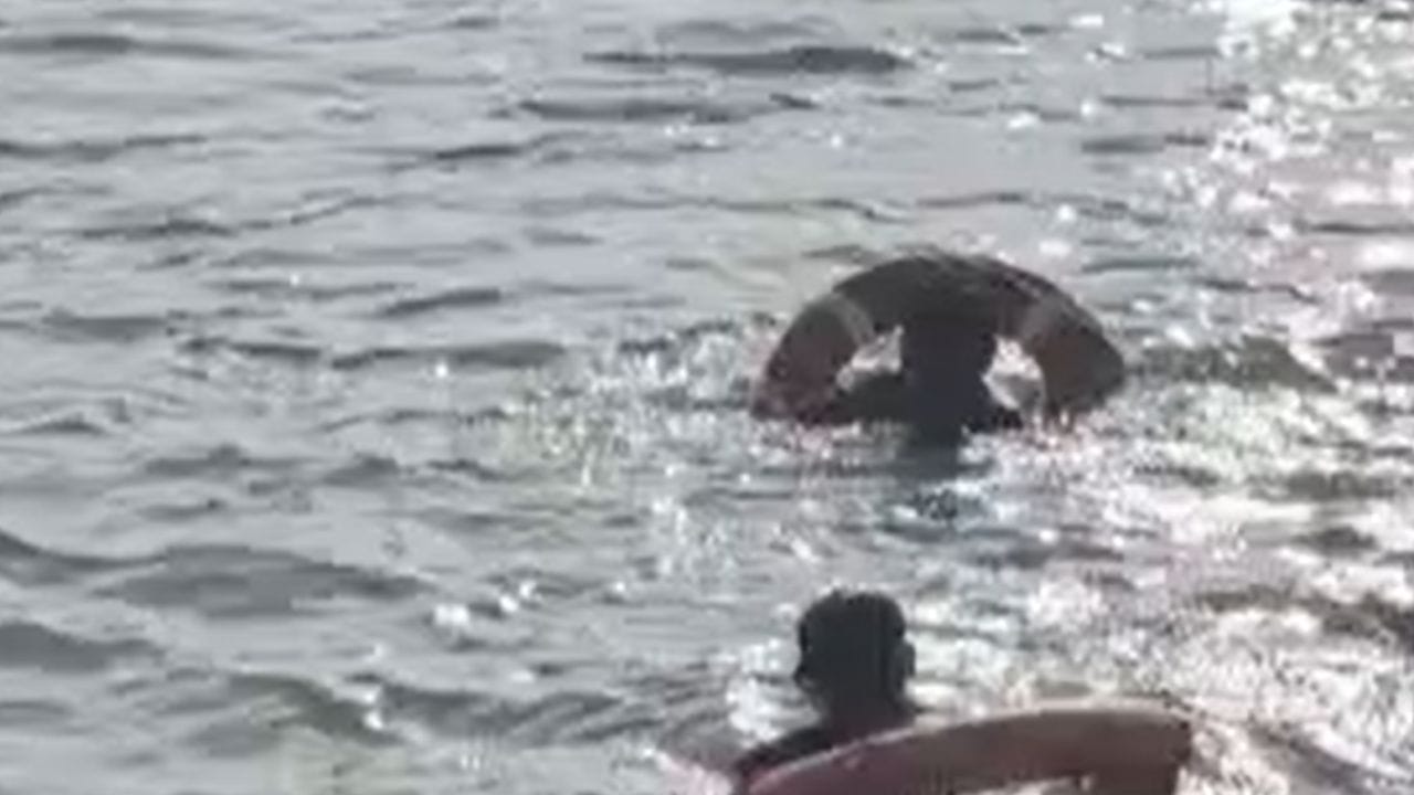 समोर आलेल्या माहितीनुसार आज कामगार दिनाची सुटी असल्यामुळे हे कामगार टेंभापुरी धरण येथे फिरण्यासाठी आले होते, याचवेळी ही दुर्घटना घडली आहे. 