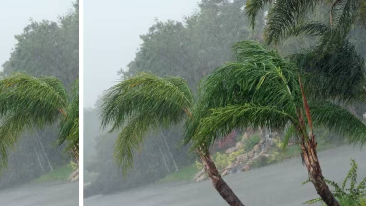 Rain: घड्याळात 4 वाजताच येथे सुरू होतो मुसळधार पाऊस, आजही चुकला नाही शिरस्ता, ही जागा कोणती?