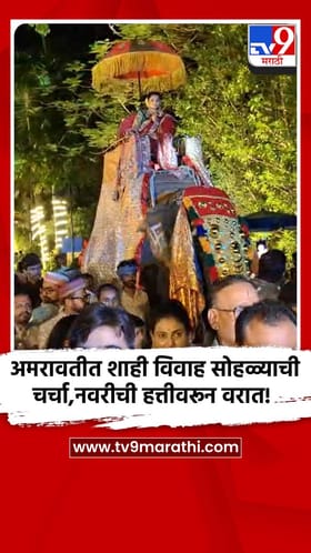 अमरावतीत शाही विवाह सोहळ्याची चर्चा,नवरीची हत्तीवरून वरात!