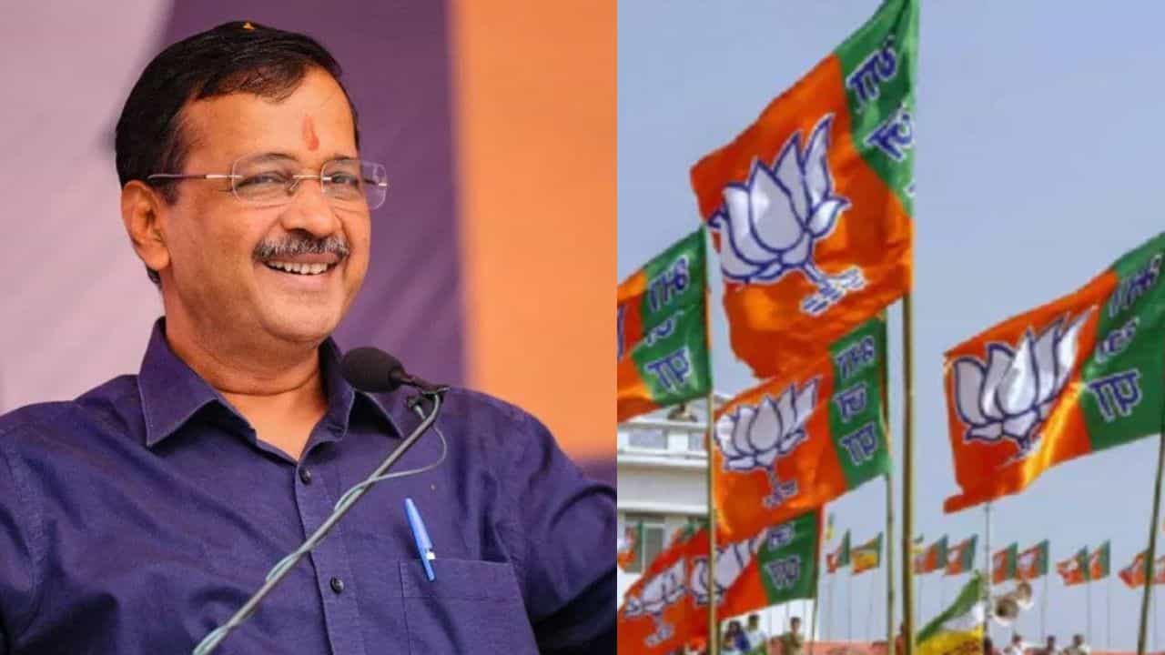 मोठी बातमी! पंजाबमध्ये आपच्या वादळात भाजप भुईसपाट; यापूर्वी असा पराभव कधीच झाला नाही, आम आदमी पार्टीचा 680 जागांवर विजय