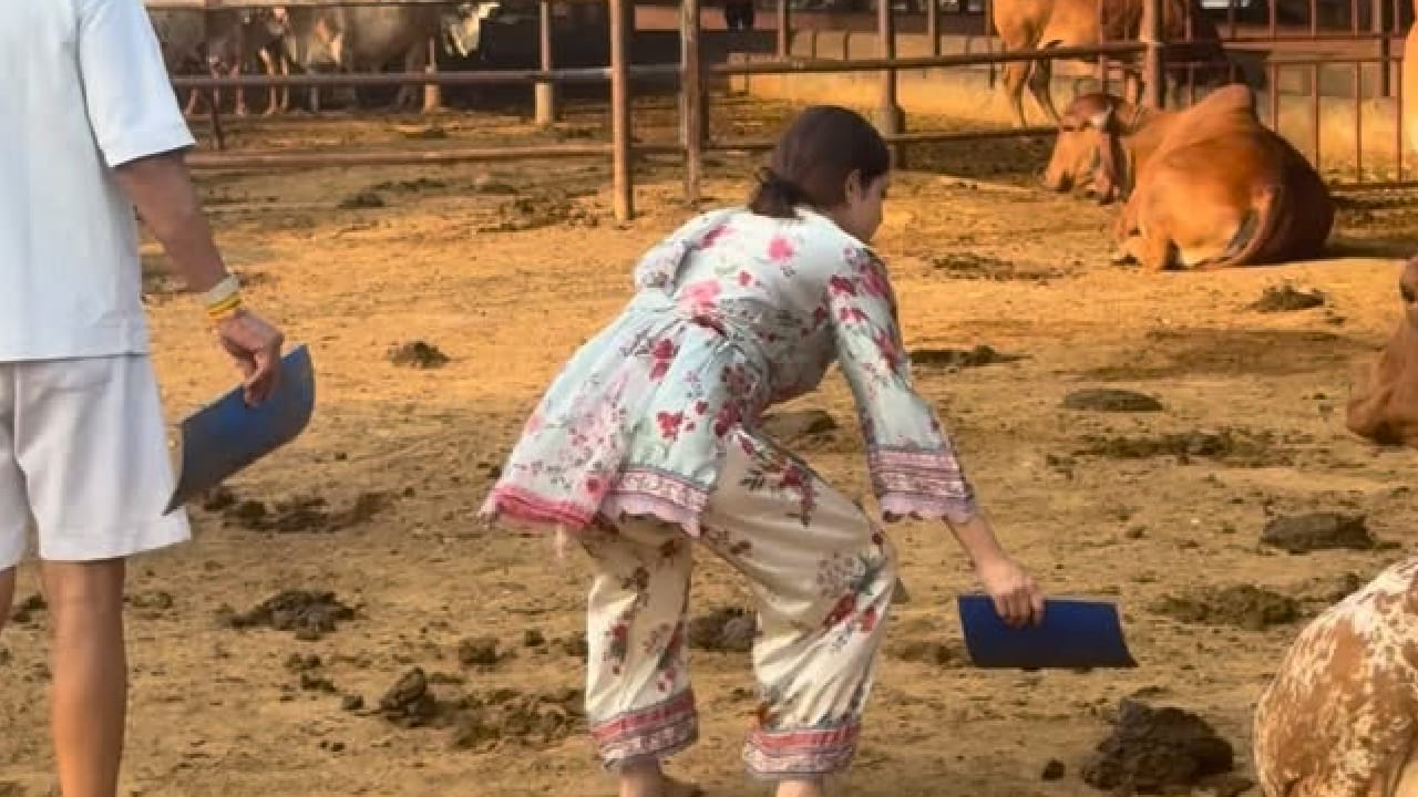 येथे त्यांनी मनापासून गोसेवा करत साधेपणाचा अनोखा संदेश दिला. या सेलिब्रिटी कपलचा गौशाळेतील व्हिडिओ सोशल मीडियावर समोर आल्यानंतर तो प्रचंड व्हायरल झाला आहे. चाहत्यांकडूनही या दोघांचं भरभरून कौतुक केलं जात आहे.