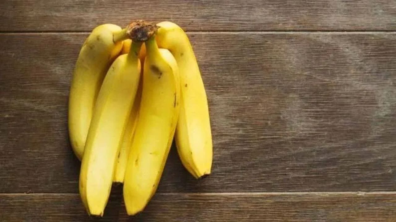 पण तुम्ही कधी विचार केला आहे का की केळी नेहमी वाकडीच का असतात? या प्रश्नाचे उत्तर कोणत्याही योगायोगात नसून एका रंजक वैज्ञानिक प्रक्रियेत दडलेले आहे.