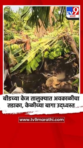 बीडच्या केज तालुक्यात अवकाळीचा तडाका, केळीच्या बागा उद्ध्वस्त