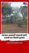 भंडाऱ्यात अवकाळी पावसाची हजेरी, उन्हाळी धान पिकांचे नुकसान.