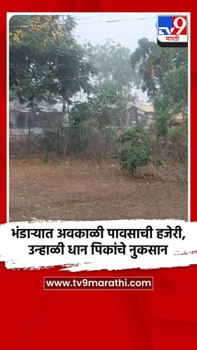 भंडाऱ्यात अवकाळी पावसाची हजेरी, उन्हाळी धान पिकांचे नुकसान