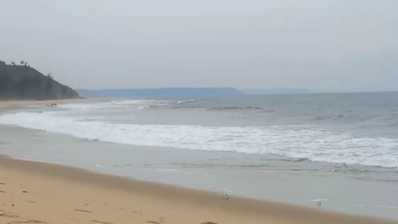 समोर आलेल्या माहितीनुसार या बोटीत एकाच कुटुंबातील तीन मच्छीमार होते, यातील दोघांना वाचविण्यात यश आले आहे तर एकजण समुद्रात बुडून बेपत्ता झाला आहे. 