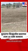 बुलढाणा जिल्ह्यातील प्रकल्पात उरला 30 टक्के जलसाठा.