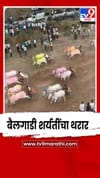 सांगलीत रंगला बैलगाडी शर्यतींचा थरार; हरिपूरचा बुलेट छब्या आणि फाकड्या ठरले चेअरमन केसरीचे मानकरी.