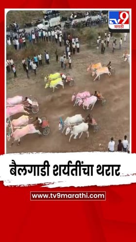 सांगलीत रंगला बैलगाडी शर्यतींचा थरार; हरिपूरचा बुलेट छब्या आणि फाकड्या ठरले चेअरमन केसरीचे मानकरी