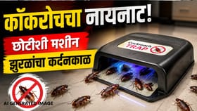 ही छोटी मशीन म्हणजे झुरळांचा कर्दनकाळ, घरातले कॉकरोच क्षणात संपतात!.
