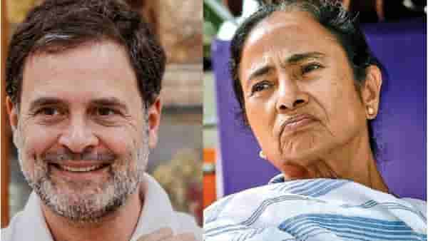 कहानी में ट्विस्ट! ममता दीदींच्या पराभवाच्या राहुल गांधींना गुदगुल्या; कारण तरी काय? दोन मोर्चांवर काँग्रेसला फायदा कसा?