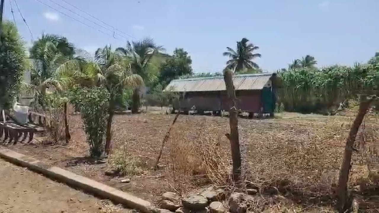 शिरूर तालुक्यातील इनामगाव येथे ही थरारक घटना घडली. पुष्पाबाई रंगनाथ नलगे या घरासमोरील अंगणात खाटेवर झोपल्या असताना दबक्या पावलांनी बिबट्या त्यांच्या जवळ पोहोचला. 