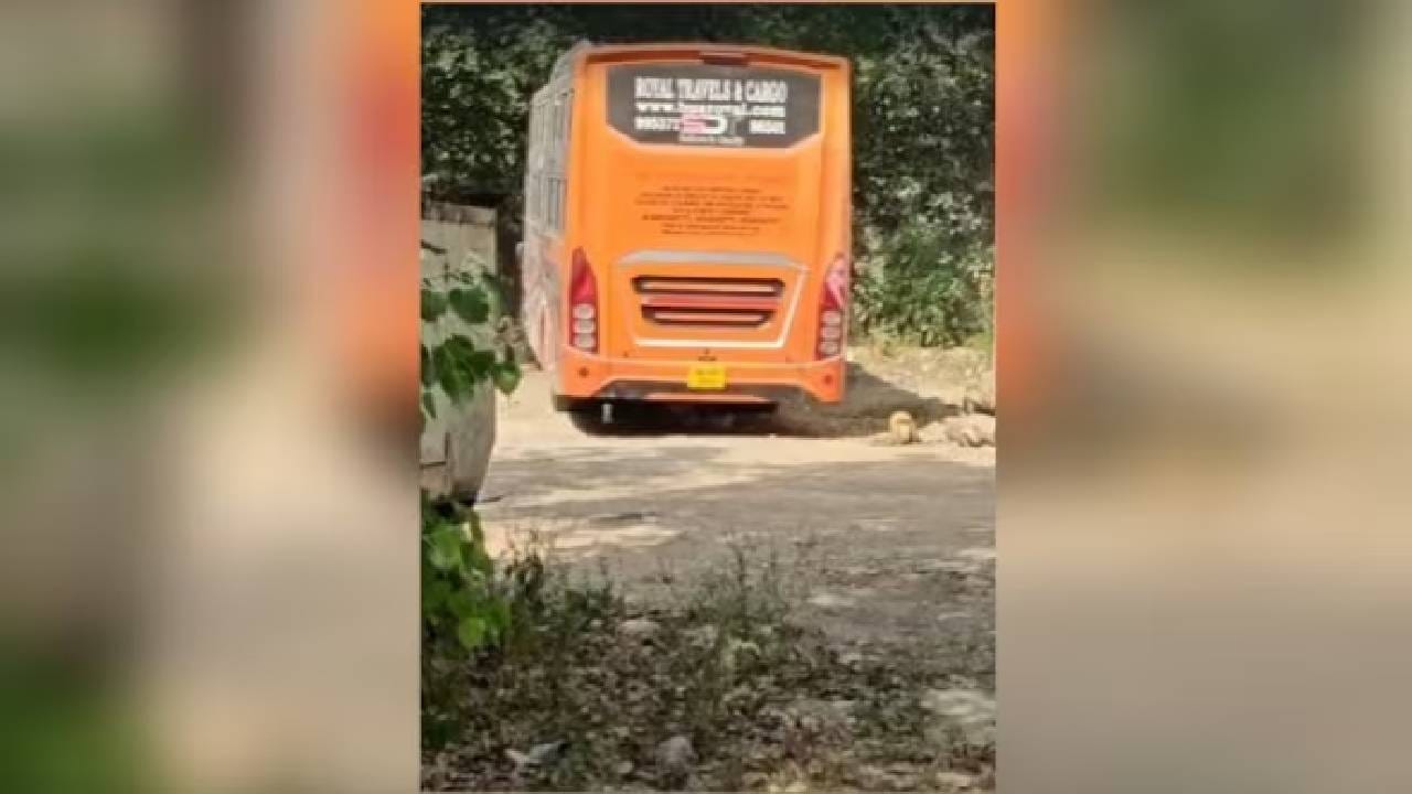 Delhi Bus Rape Case : धक्कादायक, देशाच्या राजधानीत स्लीपर बसमध्ये विवाहित महिलेवर बलात्कार Delhi Bus Rape Case : धक्कादायक, देशाच्या राजधानीत स्लीपर बसमध्ये विवाहित महिलेवर बलात्कार