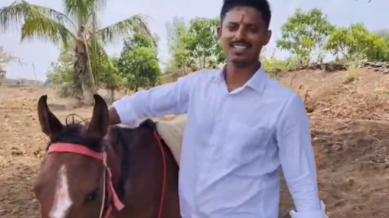 धाराशिव जिल्ह्यातील भूम तालुक्यात एक अनोखी आणि चर्चेचा विषय ठरलेली घटना समोर आली आहे. पेट्रोल-डिझेलच्या वाढत्या दरांमुळे आणि सोन्याच्या वाढलेल्या किमतींमुळे एका सासऱ्याने आपल्या जावयासाठी हटके शक्कल लढवत चक्क सिंधी जातीची घोडी भेट दिली आहे. या अनोख्या भेटीची सध्या परिसरात जोरदार चर्चा रंगली आहे.