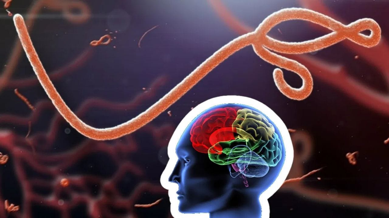 सावधान हा महाभयंकर आजार वेगाने पसरतोय; 246 जणांना लागणं, 65 जणांचा मृत्यू, आता नवं संकट सावधान हा महाभयंकर आजार वेगाने पसरतोय; 246 जणांना लागणं, 65 जणांचा मृत्यू, आता नवं संकट