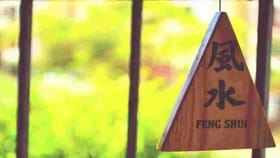 Feng Shui: पैशांचा वर्षाव करणारे प्राणी; या मूर्ती तुमच्या घरात ठेवा.