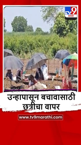 Ahilyanagar : शेतमजुरांचं छत्र्यांद्वारे उन्हापासून संरक्षण, पाहा व्हीडिओ