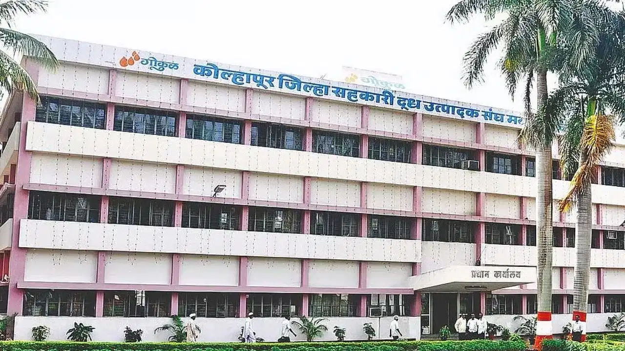 गोकुळच्या दुधाला आता धार्मिक रंग, हलाल प्रमाणपत्रावरून मोठा वाद