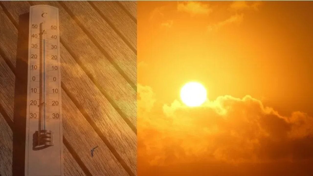 Weather Forecast : काळजी घ्या दिवस वैऱ्याचा, या जिल्हयाला थेट रेड अलर्ट, IMD चा मोठा इशारा Weather Forecast : काळजी घ्या दिवस वैऱ्याचा, या जिल्हयाला थेट रेड अलर्ट, IMD चा मोठा इशारा