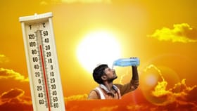 सूर्य देव कोपला, राज्यात उष्माघाताचे किती बळी?
