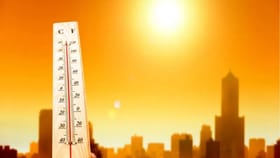 महाराष्ट्रात उन्हाचा कहर, 24 तासांत 11 जणांचा गूढ मृत्यू, काय घडलं?.