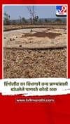 हिंगोलीत वन विभागाने वन्य प्राण्यांसाठी बांधलेले पाणवठे कोरडे ठाक.