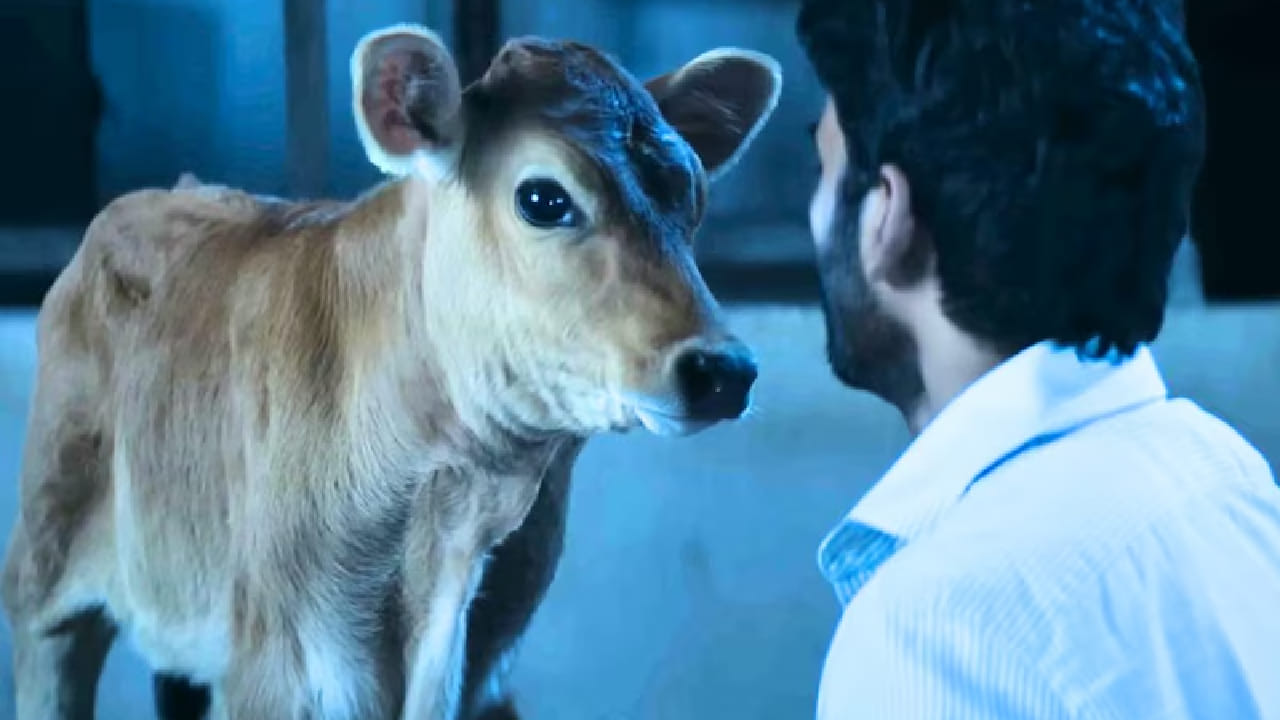 गावाकडचं साधं आयुष्य, कुटुंबातील नातेसंबंध आणि बदलत्या काळात येणाऱ्या अडचणी जेव्हा पडद्यावर वास्तववादी पद्धतीने दाखवल्या जातात, तेव्हा त्या कथा लोकांना स्वतःच्या आयुष्याशी संबंधित वाटतात. अशाच एका भावनिक आणि साध्या कथानकाच्या चित्रपटाने गेल्या वर्षी प्रेक्षकांचं लक्ष वेधून घेतलं होतं. या चित्रपटाचं नाव आहे ‘इडली कडई’.