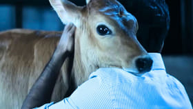 सिंपल कथेमुळे चित्रपट ठरला सुपरहिट, 200 दिवसांपासून OTT वर करतोय राज्य.
