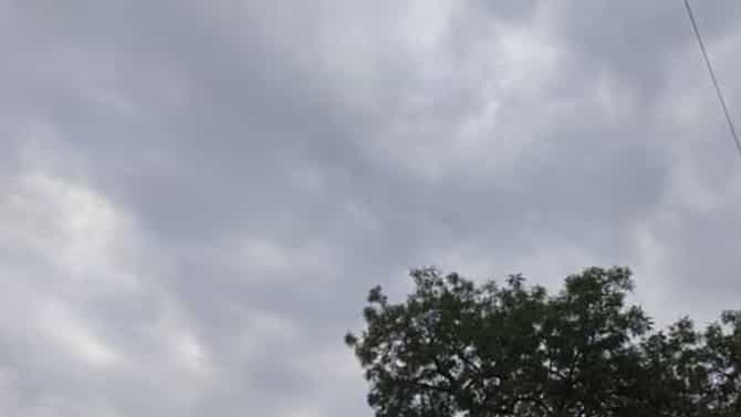 राज्यावर दुहेरी संकट! हवामान विभागाचा थेट मोठा इशारा, तब्बल इतक्या जिल्ह्यांमध्ये..
