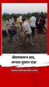 जेवणावरून वाद, लग्नात तुफान राडा.