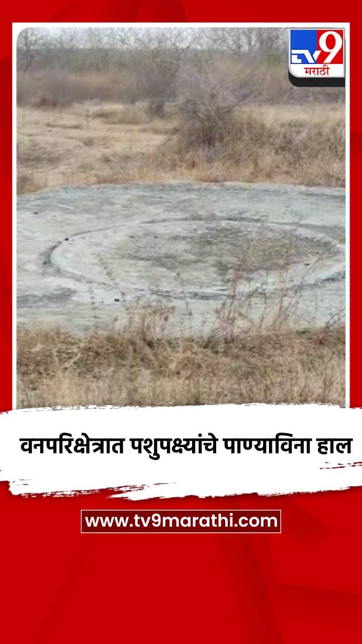 वनपरिक्षेत्रात पशुपक्ष्यांचे पाण्याविना हाल