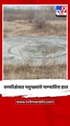 वनपरिक्षेत्रात पशुपक्ष्यांचे पाण्याविना हाल.